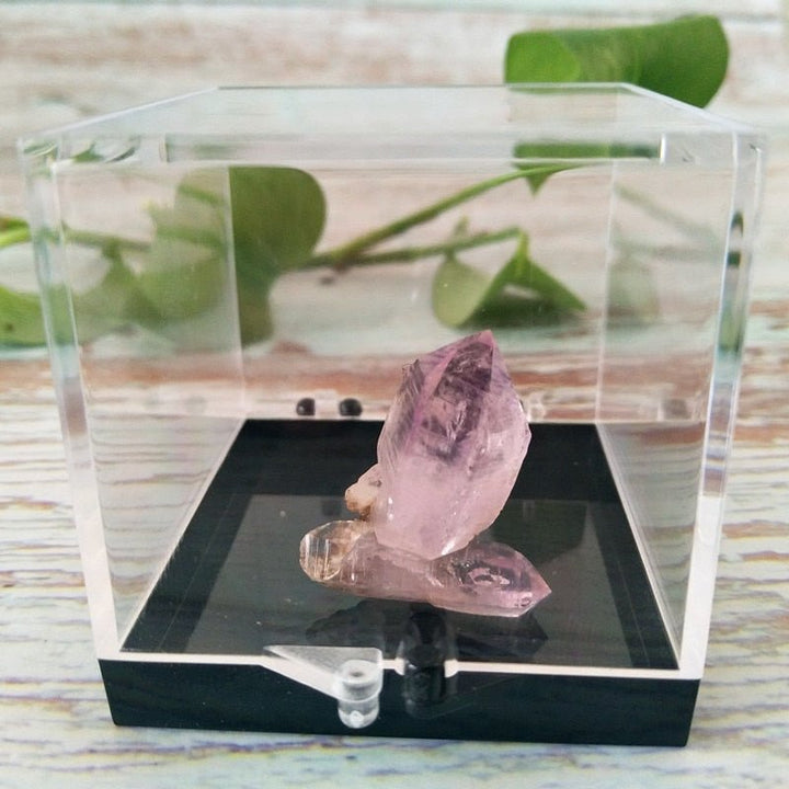 Vera Cruz Amethyst Crystals - Light Of Twelve