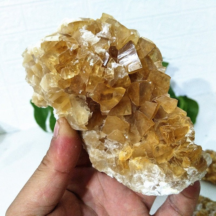 Yellow Calcite Clusters - Light Of Twelve