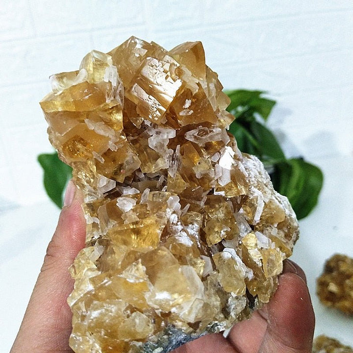 Yellow Calcite Clusters - Light Of Twelve