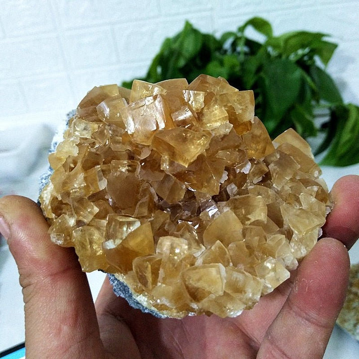 Yellow Calcite Clusters - Light Of Twelve