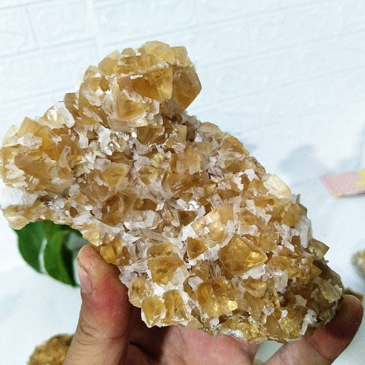 Yellow Calcite Clusters - Light Of Twelve