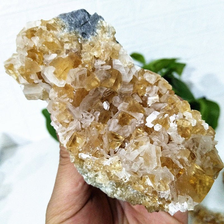 Yellow Calcite Clusters - Light Of Twelve