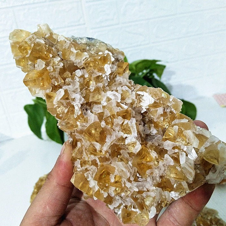 Yellow Calcite Clusters - Light Of Twelve