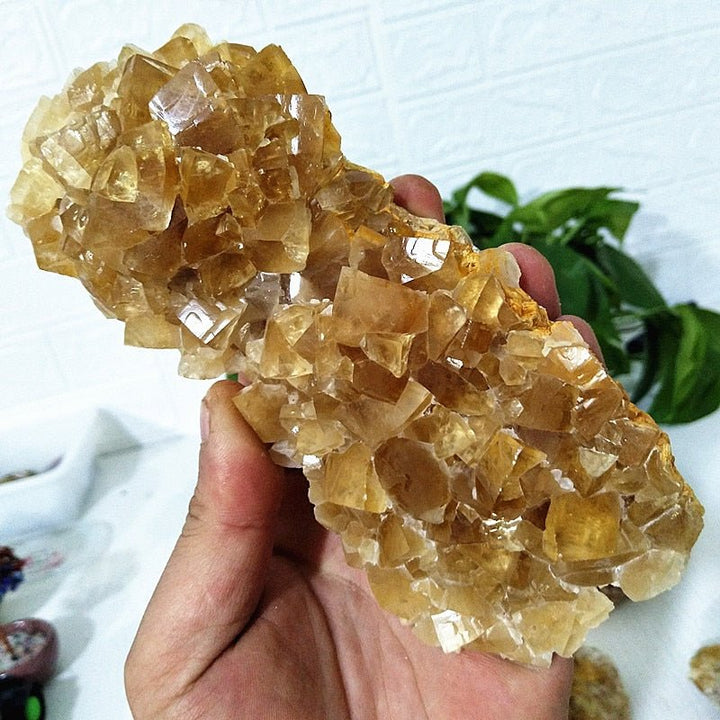 Yellow Calcite Clusters - Light Of Twelve