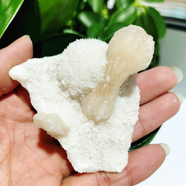 Zeolite Druzy Ore - Light Of Twelve